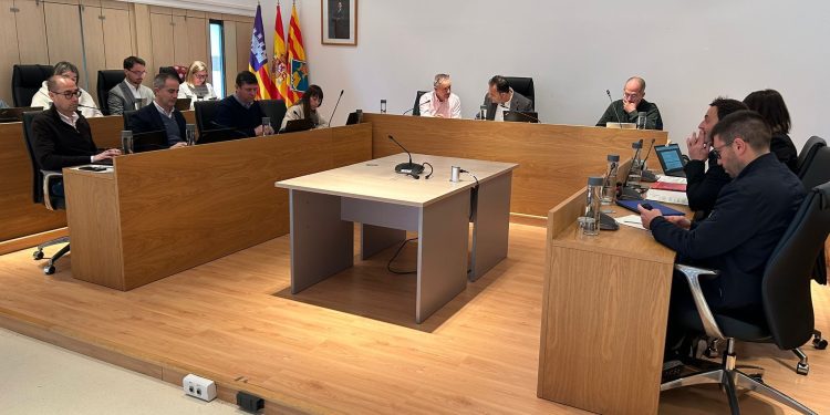 Imagen del pleno celebrado hoy. Foto: Consell Insular de Formentera