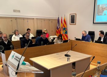 El equipo de Gobierno de Sa Unió, a la izquierda, y el presidente, a la derecha, en un pleno de la institución. Foto: Consell Insular de Formentera