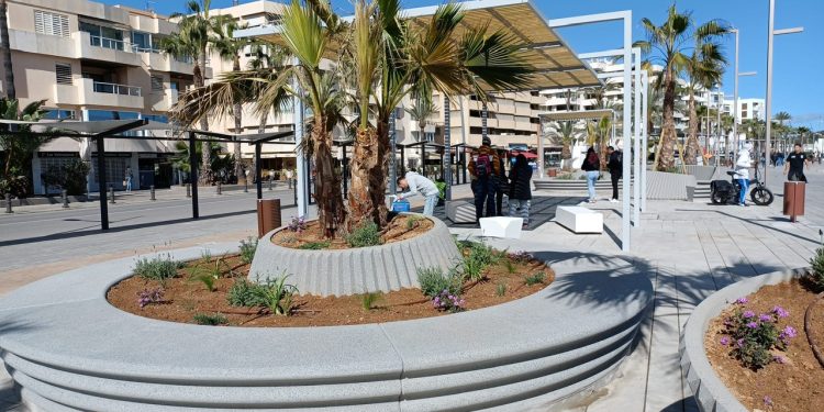 Aspecto general de la zona, con jardineras y la pérgola de sombra. Fotos APB