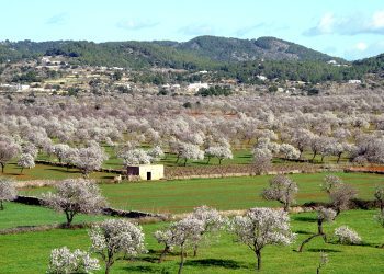 Corona hace una década