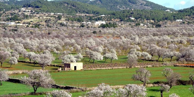 Corona hace una década