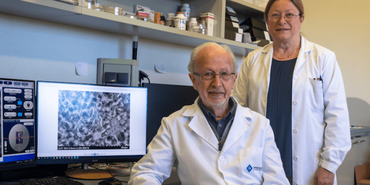 Investigadores del Laboratori d'Investigació en Litiasi Renal de la UIB: el doctor Fèlix Grases y la doctora Antònia Costa - Foto: A.COSTA:UIB