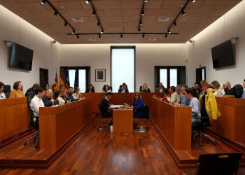 Una imagen del pleno del Ayuntamiento de Ibiza.