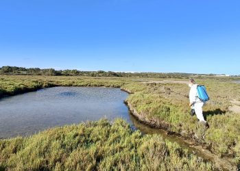 Imagen de archivo de una campaña anterior de control de mosquitos.