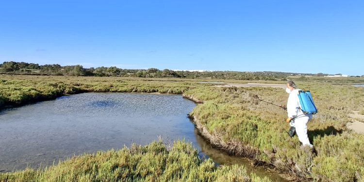 Imagen de archivo de una campaña anterior de control de mosquitos.