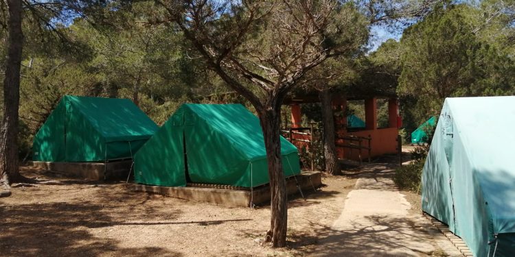 Campamento de Cala Jondal, del Consell.