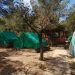Campamento de Cala Jondal, del Consell.