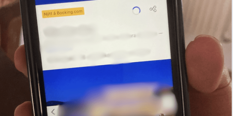 Una imagen, con los datos desenfocados por seguridad, del anuncio  fraudulento de Booking con la villa.