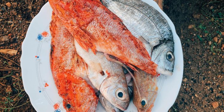 Dins la morralla hi ha autèntiques joies.