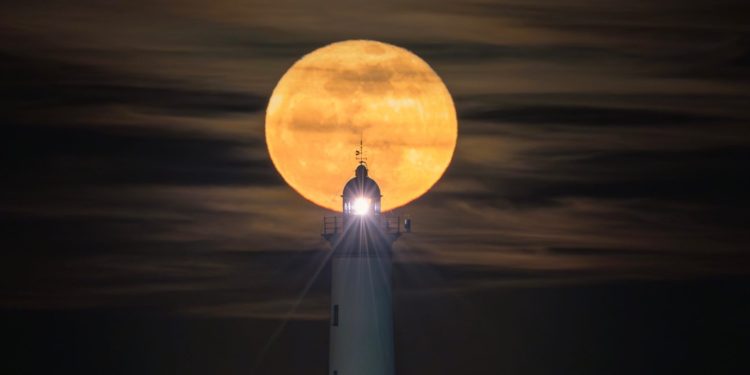 Detalle de la imagen de la luna rosa del pasado mes de abril. Paco Natera