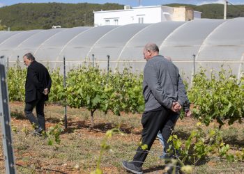 Visita a la finca de Can Marines. Fotos: Consell de Ibiza