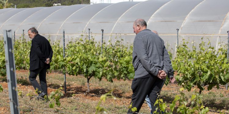 Visita a la finca de Can Marines. Fotos: Consell de Ibiza
