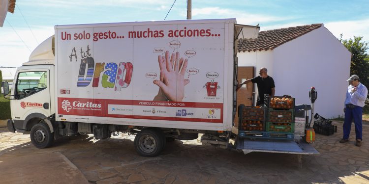 Naranjas de la finca del Consell de Can Marines destinadas a Cáritas de Ibiza