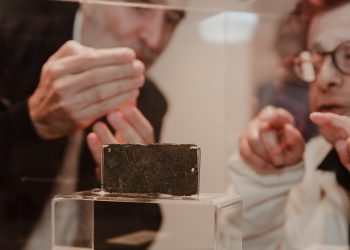 Imatge de la plaqueta. Foto: MAEF