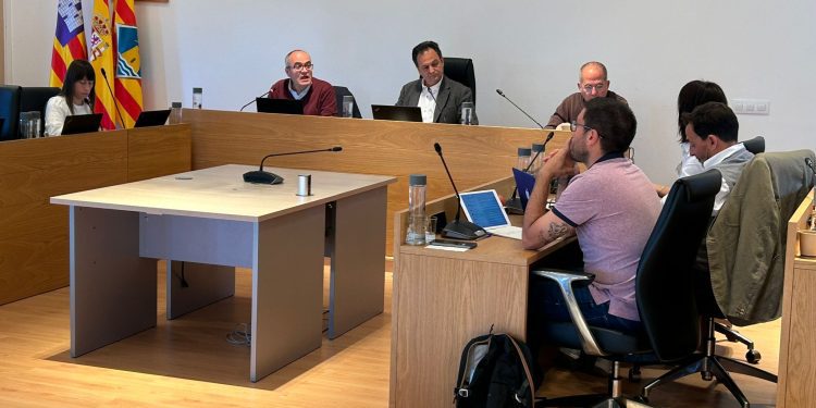 En el centro de la imagen, Córdoba durante un pleno de la institución. Foto: Consell Insular de Formentera