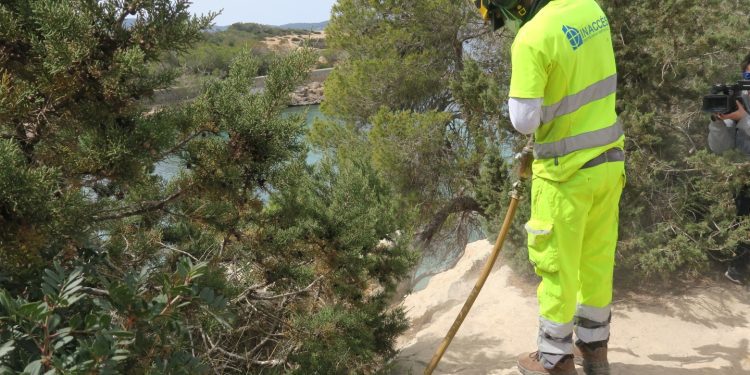 Intervención para mejorar la seguridad en Cala Gració. Fotos: Ayuntamiento de Sant Antoni