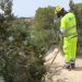 Intervención para mejorar la seguridad en Cala Gració. Fotos: Ayuntamiento de Sant Antoni