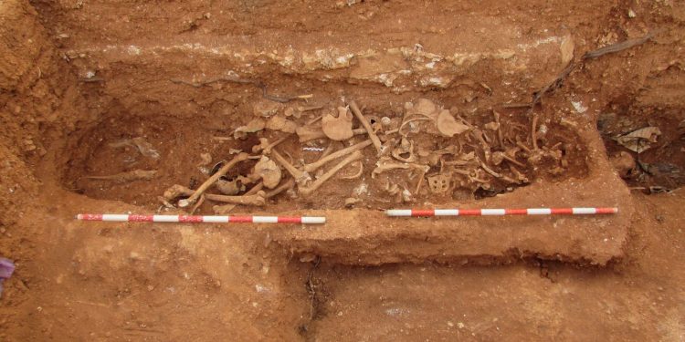 Fotografías de las exhumaciones del cementerio de Ses Figueretes, año 2020