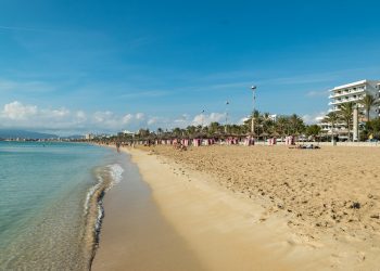 Playa del Arenal del Palma