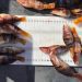 Detalle de capturas de vacas (Serranus scriba) con talla inferior a la establecida en Reservas Marinas (foto cortesía Servicio de Vigilancia Pesquera Reservas Marinas).