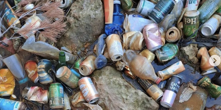 Acumulación de latas de cerveza en el safareig, que se había convertido en un foco de cría de mosquitos.