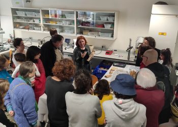 Laboratori del Museu Arqueològic d'Eivissa i Formentera. Foto: MAEF