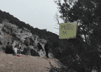 Mojitos a la venta, ya desde marzo. Fotos Amcis de la Terra