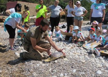Liberación de la tortuga. Fotos: Ayuntamiento de Sant Antoni
