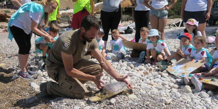 Liberación de la tortuga. Fotos: Ayuntamiento de Sant Antoni