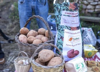 Patata ibicenca, otra de las joyas del campo de Ibiza.