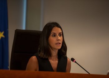 La consellera Maria Fajarnés, durante el pleno. Foto: Consell de Ibiza