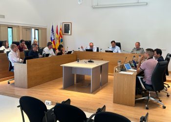 Pleno de la institución. Foto: Consell de Formentera