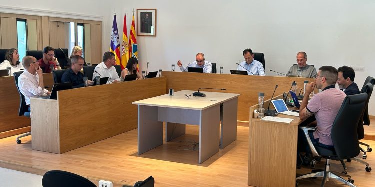 Pleno de la institución. Foto: Consell de Formentera