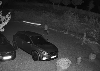 Unas cámaras de seguridad captaron a los ladrones en uno de los robos.