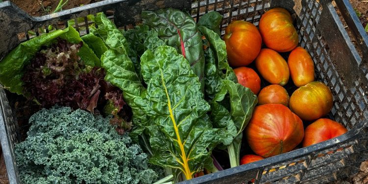 He après a fer hort gràcies als güelos. Marina Ribas