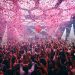 Pure Pacha en Pacha este 2024