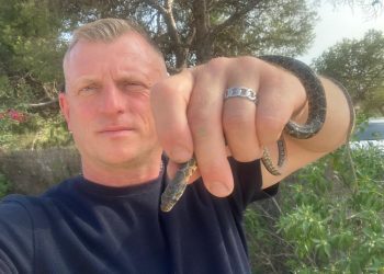 Dean Gallagher con otra de las serpientes atrapadas estos días.