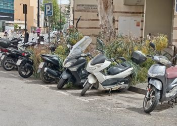 Imagen de las ramas sobre las motos. Fotos: Óscar Marí.
