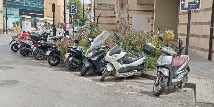 Imagen de las ramas sobre las motos. Fotos: Óscar Marí.