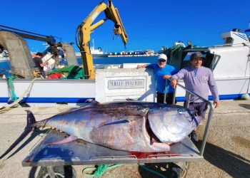 Imagen compartida por Peix Nostrum en sus redes sociales.