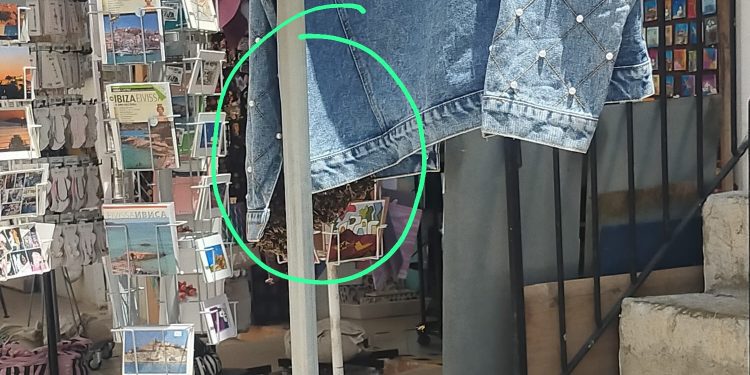 Imagen del enjambre, rodeado por un círculo para indicar dónde se encuentra. Foto: Bombers d'Eivissa