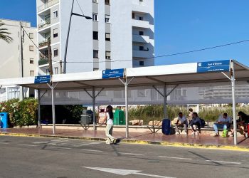 Carpas en el puerto de Ibiza. Foto: APB