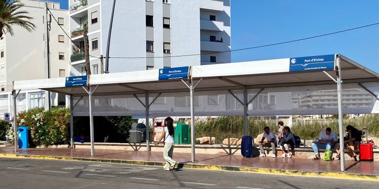 Carpas en el puerto de Ibiza. Foto: APB