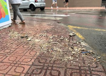 Restos salidos de las alcantarillas, sobre la acera. Fotos: Noudiari