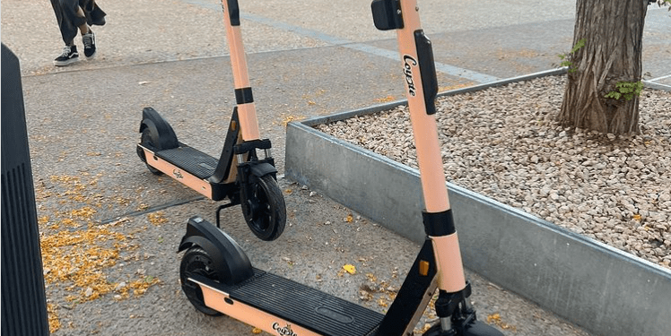 Imagen de los patinetes compartida por la Policía Local de Ibiza.