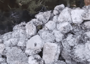 Piedras acumuladas, todavía con algas.