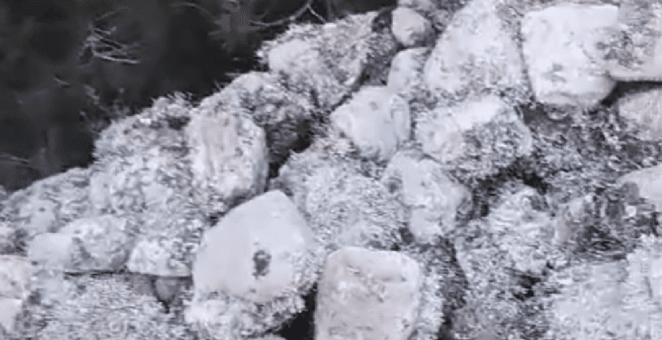 Piedras acumuladas, todavía con algas.