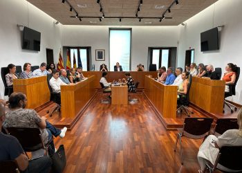Un momento del pleno. Foto: Ayuntamiento de Ibiza