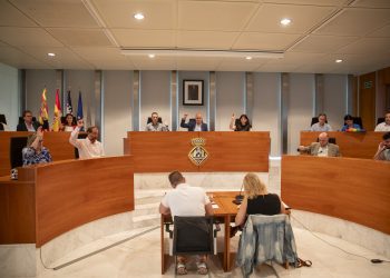 Pleno del Consell de Ibiza, en una imagen de archivo. Foto: Consell de Ibiza