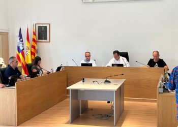 Imagen de la sesión plenaria celebrada hoy. Foto: Consell Insular de Formentera